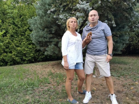 IMG-20190803-184535
