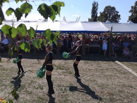 IMG-20190811-153433