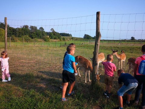 IMG-20190823-171833