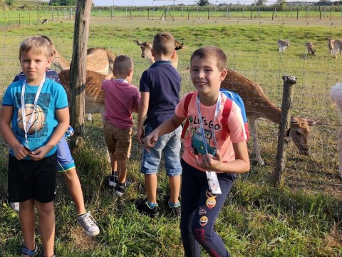 IMG-20190823-171836