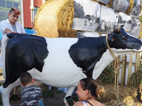 IMG-20190901-172705