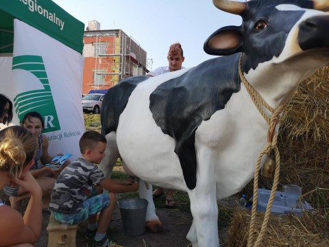 IMG-20190901-172717