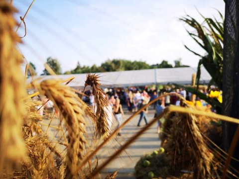 IMG-20190901-173449