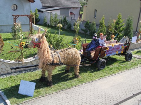 24img-4930