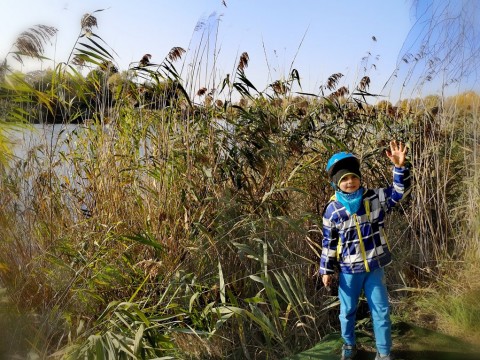 IMG-20191013-200826