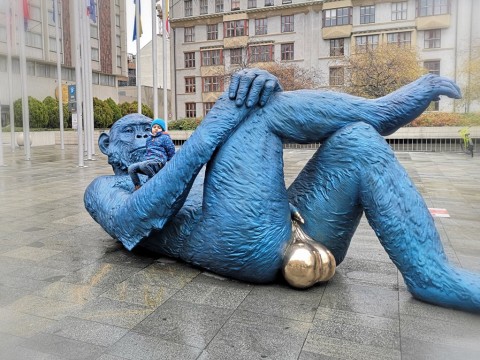 IMG-20191110-164207
