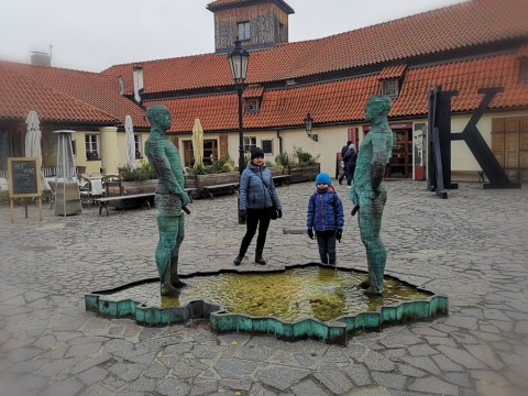 IMG-20191111-151337