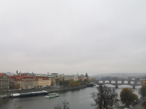 IMG-20191111-151435