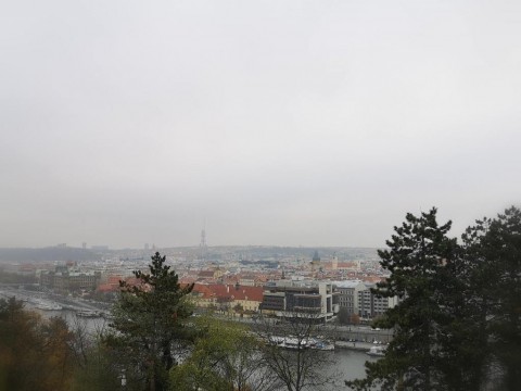 IMG-20191111-151556