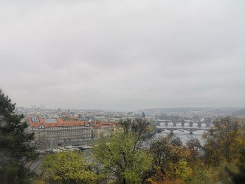 IMG-20191111-151618