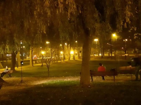IMG-20191121-WA0053