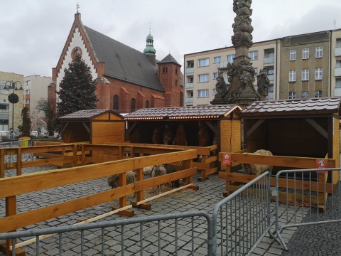IMG-20191226-115652