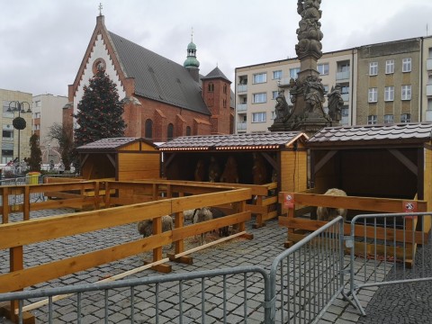 IMG-20191226-115653